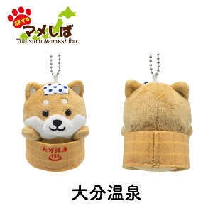 } ʂ݃{[`F[L[z_[ B [ Č  { }XRbg n ό ݂₰  Č  { B    F{ {  