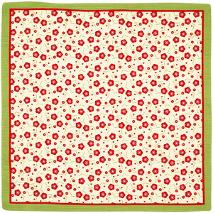 ݂̏C~ w~x[ { C~ 50cm@O ~ 100a Vw ٓObY `NX ٓ ]