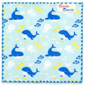 ynJ`zqnJ`  acchi cocchi  02934 sps