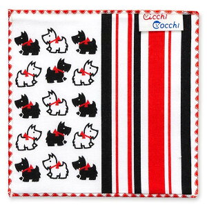 ynJ`zqnJ`  acchi cocchi  02942 sps