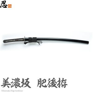  WV[Y n 245ܕt y K mÂɍœK z[ { Y  ȍP C h  j g   ] N[jONXt