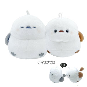 y[z jRʂL[z_[ [ 낢 NIKONUI ʂ  }Olbg  }XRbg {[`F[ Č V}GiK v[h |jA nX^[ yM JE\ 