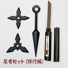 忍者セット（修行編）[ なりきり 仮装 コスプレ クリスマス 誕生日 プレゼント 手裏剣 クナイ 苦無 ゴム製 からくり刀 玩具 おもちゃ 引っ込む 忍者 ] qk05 sps