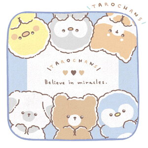 낿 ~j^I VESE [ nh^I ^InJ` 20cmp w w ܂낸 ܂ ؂񂽂 ؂񂫂 ΂ Ђ悽 TAROCHANS ^`Y 킢 u[ 