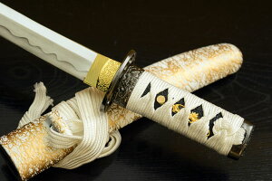 �͑��� ���p�� ���� �Z�� �����_�� ��������-���p���d�l- �yRP�z[ �Z�� ���� ���p�� ���� �Z�� ���� �R�X�v�� �͑��� �Ϗܗp ] �N���[�j���O�N���X�t