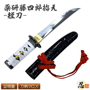 򌤓lYn-Z- ElOOɐB[ ₰Ƃ낤 ͑ ͋[ p  { Z RXv Ϗܗp ] N[jONXt