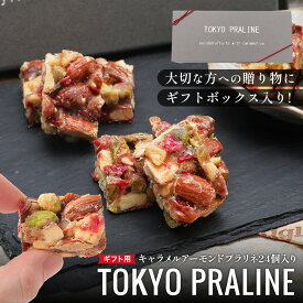 TOKYO PRALINE 24個入（12個×2袋） お取り寄せスイーツ 洋菓子 アーモンド お菓子 茶菓子 豆菓子 スイーツ 栄養 美容 キャラメル 美味しい かわいい おやつ 個包装 キャラメリゼ