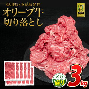 A5 A4 I[u јa I ؂藎Ƃ 1kg 3Zbg Y 쌧Y a XCX Ăp ē Ă  ƒp   Ⴊ  J[ uߕ  pr Y