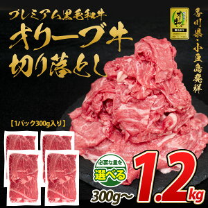 A5 A4 I[u јa I ؂藎Ƃ 300g Y 쌧Y a XCX Ăp ē Ă  ƒp   Ⴊ  J[ uߕ ϕ pr Y 