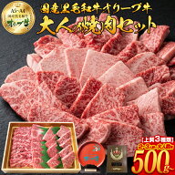 焼肉セット バーベキュー 肉 bbq 贅沢焼肉 A4 A5等級 オリーブ牛入り 厳選焼肉3種盛500g〜 黒毛和牛 カル…