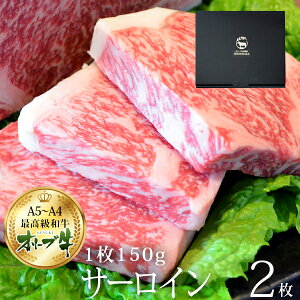 Ε T[CXe[L ij AEj Əj Mtg 150g×2 I[u ubN јa T[C 300g j 蕨 v[g j a Xe[L a  