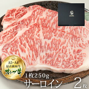 yhV̓ Xe[L zA4EA5 I[u T[C200g×2qv400gr јa v~Aa Mtg j a ̓ BBQ y  v[g