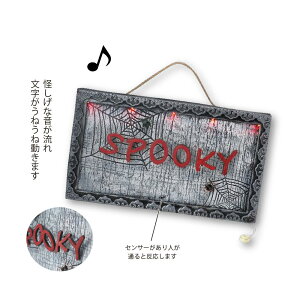 HWz[V[Y ق̊Ŕ X nEBfBXvC  G