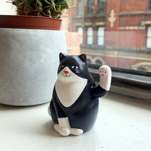 KIKKERLAND Solar Cat ˂ lR L zœ IuWF L   菵 \[[