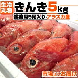 楽天市場 魚 キンキの通販