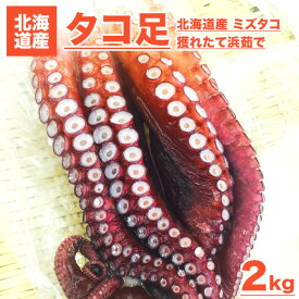 楽天市場 たこ ゆでの通販