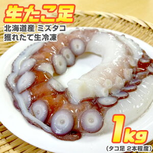 y 5.3 ` 7.0~ ^O z  Ⓚ 1kg 2kg 3kg | ^R ^R kCY^R  Ⓚ^R  ݂ ~Y_R  hg^R  ^R   