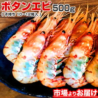 【 御中元ギフト 】ボタンエビ 500g BFL | ぼたん海老 ボタン海老 ぼたんえび 北海道 オホーツク海 水産 人気 おすすめ プレゼント 贈答品 贈答 船上冷凍 お取り寄せ 取り寄せ 仕入れ お取り寄せ食品 お取り寄せグルメ お取り寄せギフト 中元 お中元 お中元