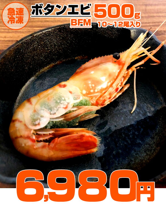 楽天市場 送料無料 ボタンエビ 500g Bfm 10尾から12尾 贈答用 ぼたん海老 ボタン海老 ぼたんえび 北海道 オホーツク海 水産 人気 おすすめ プレゼント 贈答品 贈答 船上冷凍 お取り寄せ えび エビ 海老 大きいエビ 殻付きエビ お祝い品 旨い物 自炊 歳暮 お歳暮