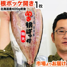 【 送料無料 】 根ホッケ開き 一夜干し 1枚 400g前後 | 知床礼文産 北海道産 ホッケ干物 根ボッケ ほっけ開き ホッケ ほっけ 開き 一夜干し 干物 北海道 ホッケ一夜干し お取り寄せ 取り寄せ 水産仕入れ おすすめ 道産干物 グルメ お祝い 彼岸 節分 節句 中元 ひな祭り 中元