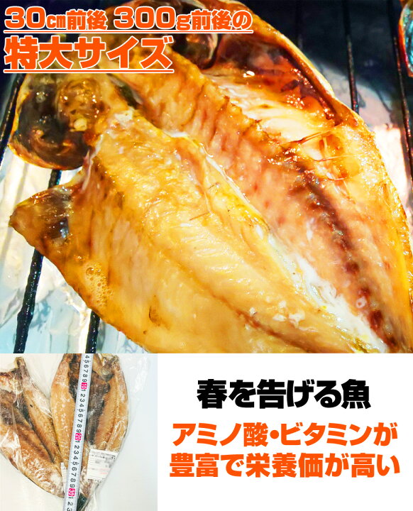 市場 送料込 にしん開き ロシア産 30cm300g前後 10枚 鰊開き 鰊 冷凍 ニシン干物 オホーツク海域 一夜干し ニシン開き 干物 にしん ニシン 魚 1枚