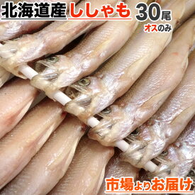 【 送料無料 】道産シシャモ オス 30尾入り | シシャモ 柳葉魚 道産ししゃも 北海道産ししゃも 北海道産シシャモ 北海道 干物 お土産 お取り寄せ 取り寄せ 一品 グルメ 食品 お取り寄せグルメ お取り寄せギフト ギフト おとりよせグルメ 自炊 節分 ひな祭り 彼岸 年賀 節句