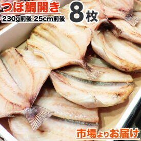 楽天市場 つぼ鯛の通販