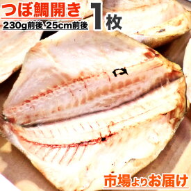 楽天市場 つぼ鯛の通販