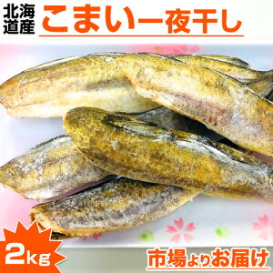 魚介類 かんかいの人気商品 通販 価格比較 価格 Com