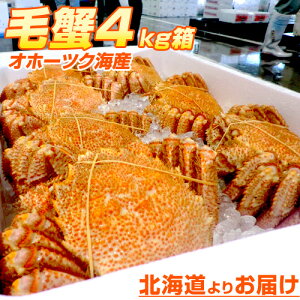 �y �܂Ƃߔ��� �z�уK�j �p | �I�z�[�c�N�C �k�C�� �ъI �т��� �{�C�� �ڂ��� �{�C���уK�j �k�C�� ���{�C �I�z�[�c�C �I �J�j ���� �Ⓚ ���y�Y �y�Y �܂Ƃߔ��� ���� ���Y ���Y �s�� �����