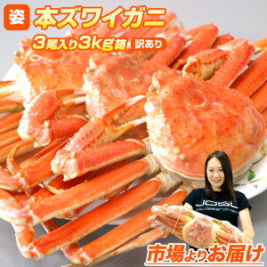 y 3.4~^g z 󂠂 {YCKj p 3kg 3 1kgO × 3 킢I YCI 킢 I Jj YCKjp 킢Ɏp ɂ݂ Ƀ~\ i 񂹃O  