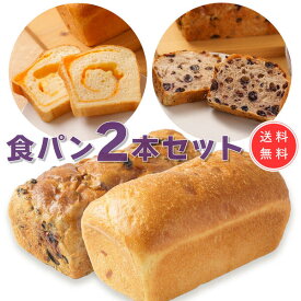 食パン食べくらべセット　チェダーチーズ食パン＆ブルーベリー香るたっぷりレーズン食パン【1.5斤 2本】冷凍発送 高級食パン 生食パン チーズ食パン 無添加 具だくさん 差し入れ お取り寄せグルメ 退職祝い おしゃれギフト 人気 母の日ギフト