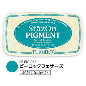 X^v XeCYI sOg Stazon ړI s^Cv SZ-PIG-062 s[RbNtFU[Y cLlR iZj