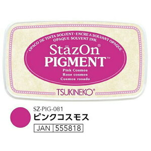 X^v XeCYI sOg Stazon ړI s^Cv SZ-PIG-081 sNRXX cLlR iZj