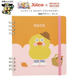   u`uU[ R{ m[g XNGAOm[g×BRUNCH BROTHER _bN NRRSB25-DK pCbg