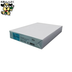 v^[pRs[p X}[go[ J[y[p[A4  500 A262J-5