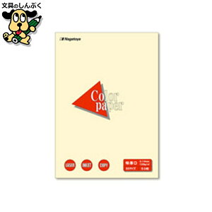 v^[pRs[p Nagatoya J[y[p[B5 50