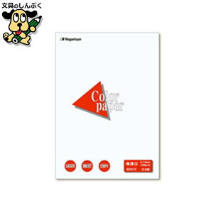 v^[pRs[p Nagatoya J[y[p[B5 50