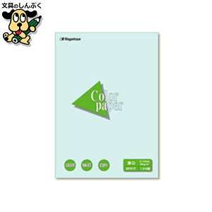 v^[pRs[p Nagatoya J[y[p[B5 100