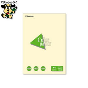 v^[pRs[p Nagatoya J[y[p[B5 100