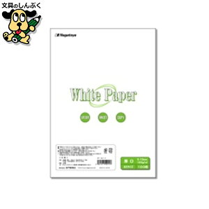 v^[pRs[p Nagatoya zCgy[p[ i-011  B5 100