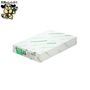 v^[pRs[p X}[go[ Rs[y[p[WR100 A4 500A191J