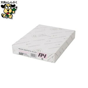 v^[pRs[p 剤 }`J[ CW-620C A4  500