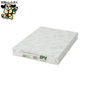 v^[pRs[p 剤 }`J[CW-630C B4 500