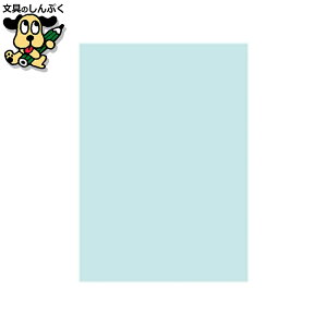 v^[pRs[p kzR[|[V ItBXpJ[R100 B5u[500*5