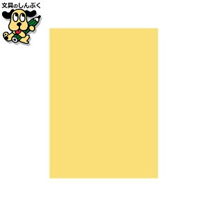 v^[pRs[p kzR[|[V ItBXpJ[R100 B5CG500*5