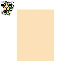 v^[pRs[p kzR[|[V ItBXpJ[R100 B5AC{500*5