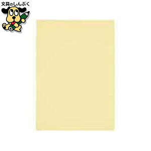 v^[pRs[p X}[go[ J[y[p[B5 N[ 500 A260J-2