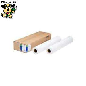 vb^p[ EPSON ʎ[qrEPPP90A1 50m