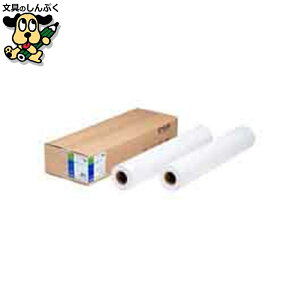 vb^p[ EPSON ʎ[qrEPPP90A0 50m